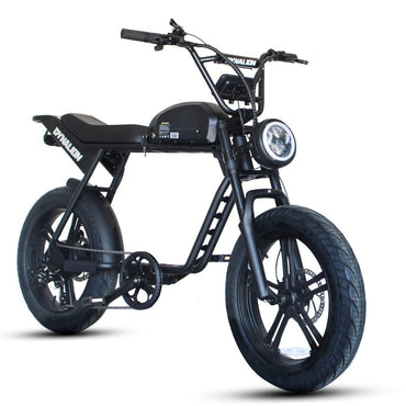 DYNALION K7 - 2 1000W 20 - Inch Fat Tire Mountain E - Bike - The Wright Bikes