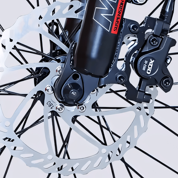 STANDARD 750W 20" Cargo City E - Bike - The Wright Bikes