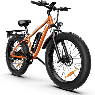Bicicleta eléctrica de montaña de neumáticos anchos AMYET EB26 1000W 26 pulgadas