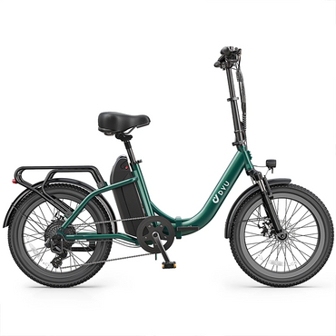 DYU C9 1000W 20-Inch Fat Tire Folding City E-Bike