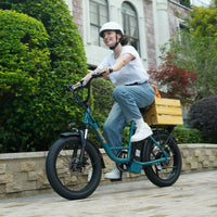 URLIFE E20 1000W 7 - Speed Fat Tire City E - Bike - The Wright Bikes