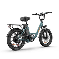 URLIFE E20 1000W 7 - Speed Fat Tire City E - Bike - The Wright Bikes