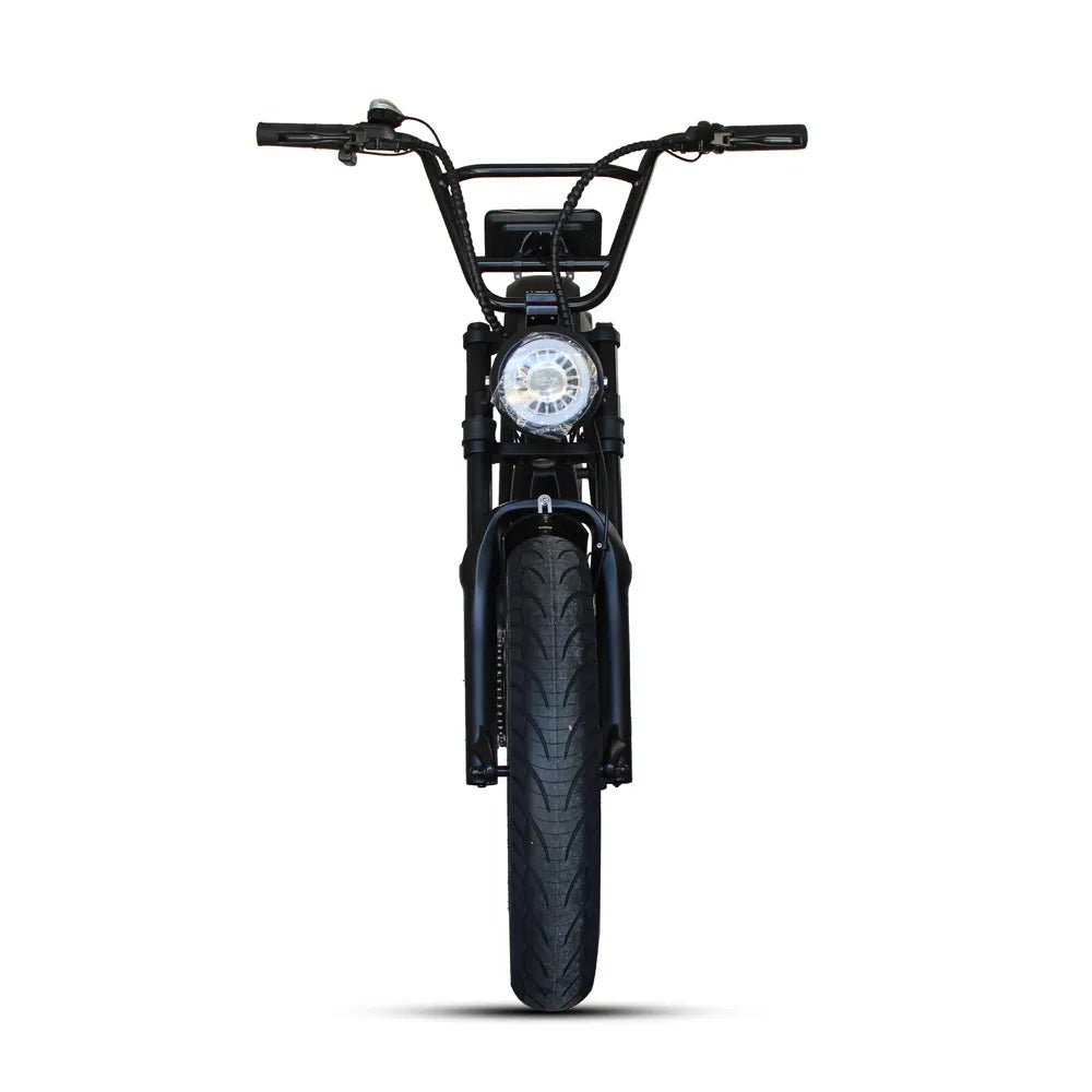 DYNALION K7 - 2 1000W 20 - Inch Fat Tire Mountain E - Bike - The Wright Bikes