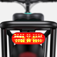 ENGWE E26 ST 750W 48V Electric Mountain Bike