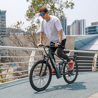 AAIRSK GT900 400W 21 - Speed Urban Mountain E - Bike - The Wright Bikes