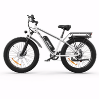 Bicicleta eléctrica de montaña de neumáticos anchos AMYET EB26 1000W 26 pulgadas