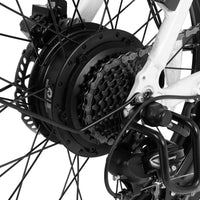 Bicicleta eléctrica de ciudad plegable de neumáticos anchos DYU C9 1000W 20 pulgadas