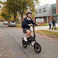 DYU D3F-MINI 350W Electric Folding Bike - The Wright Bikes