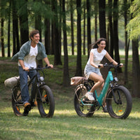 ENGWE E26 ST 750W 48V Electric Mountain Bike