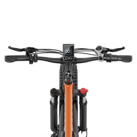 Bicicleta eléctrica de montaña de neumáticos anchos AMYET EB26 1000W 26 pulgadas