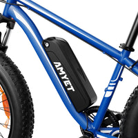 AMYET EB26 1000W 26 - Inch Fat Tire Mountain E - Bike - The Wright Bikes