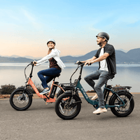 ENGWE L20 750W 20 - Inch Folding City E - Bike - The Wright Bikes