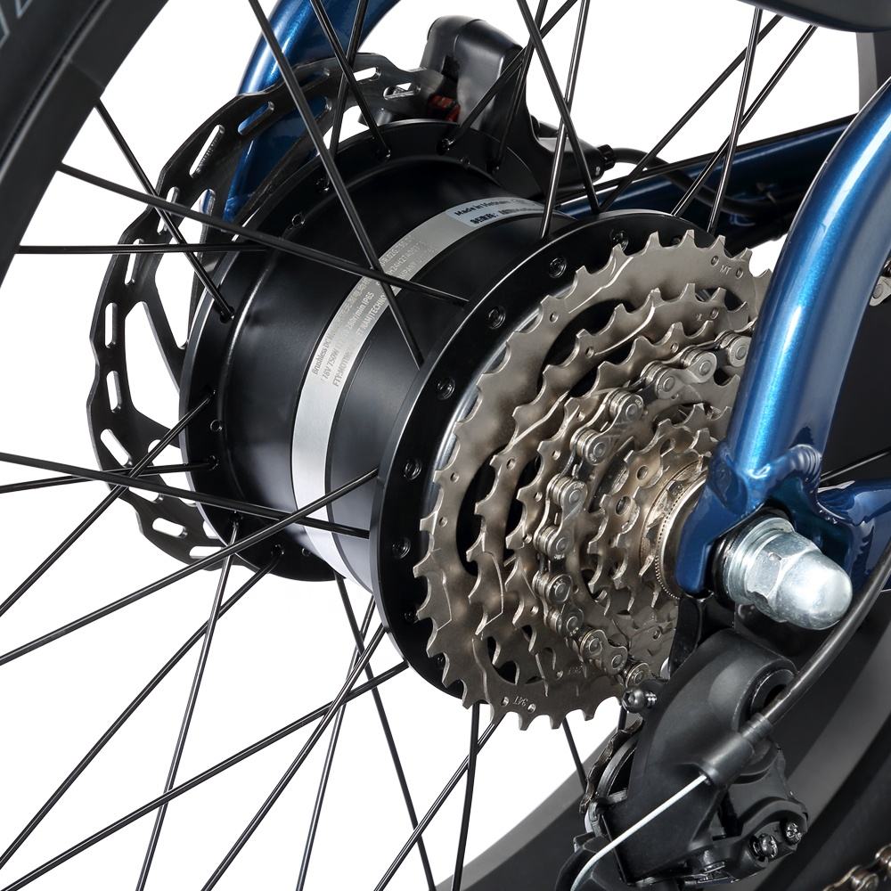 STANDARD 750W 48V Fat Tire Cargo E - Bike - The Wright Bikes
