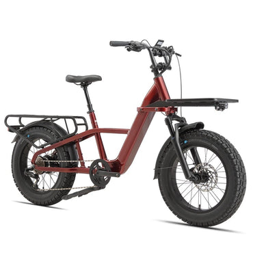 STANDARD 750W 48V Fat Tire Cargo E - Bike - The Wright Bikes