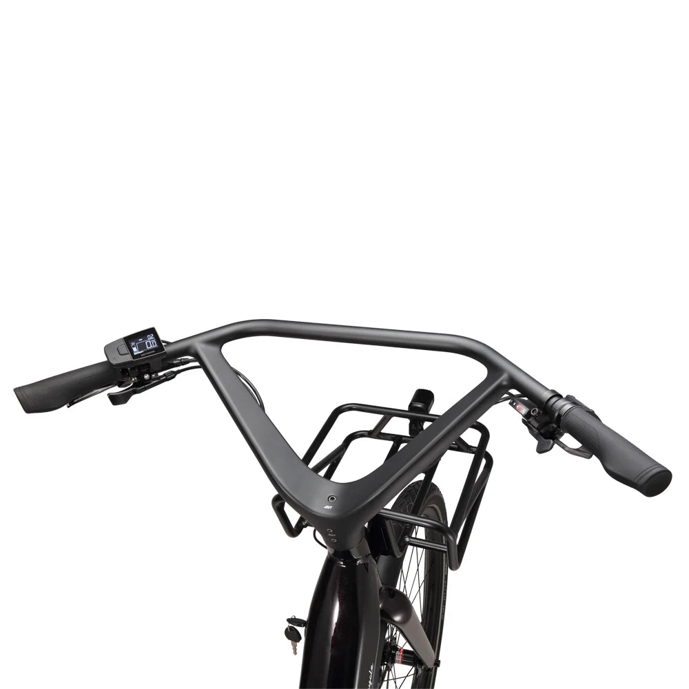 STANDARD 350W 9 - Speed Hybrid City E - Bike - The Wright Bikes