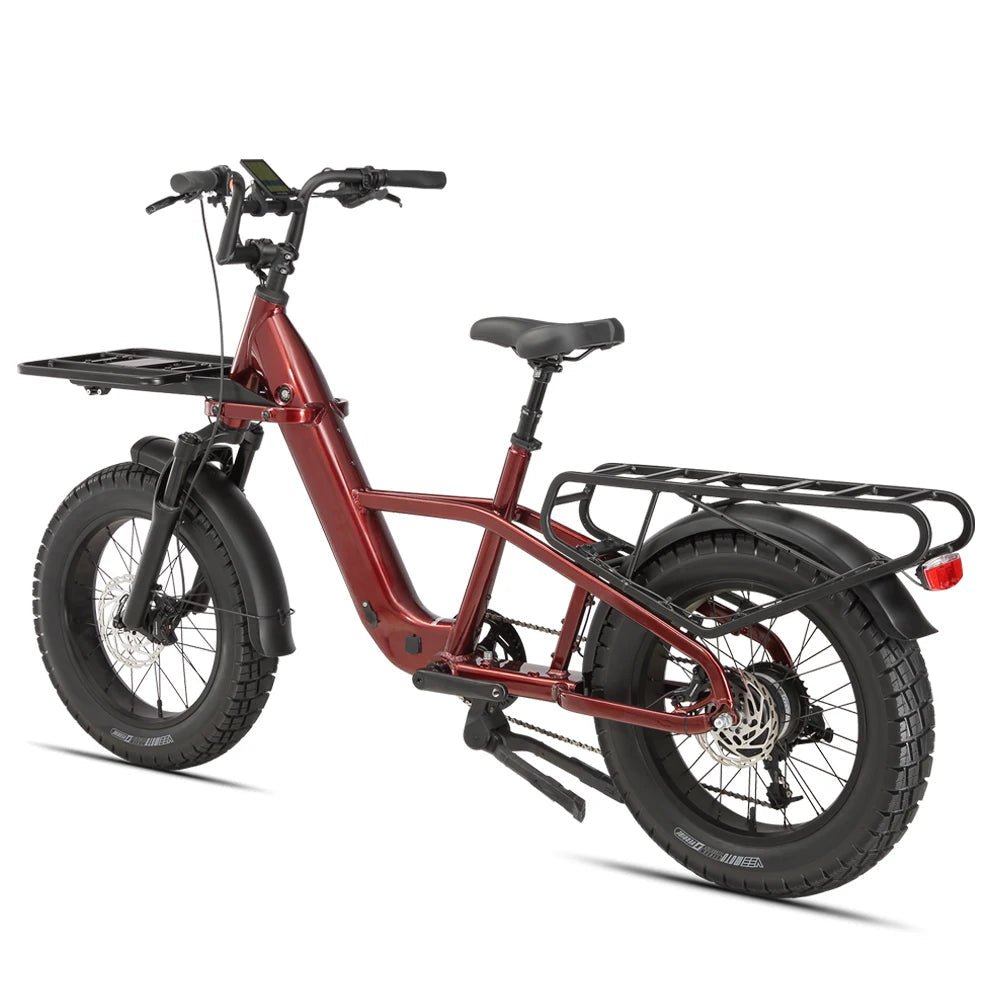 STANDARD 750W 48V Fat Tire Cargo E - Bike - The Wright Bikes