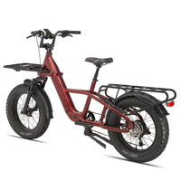 STANDARD 750W 48V Fat Tire Cargo E - Bike - The Wright Bikes