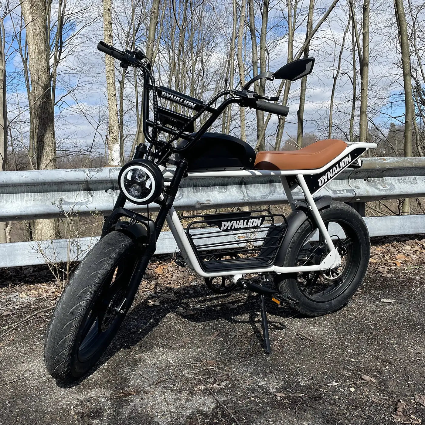 DYNALION K7-2 1000W 20-Inch Fat Tire Mountain E-Bike