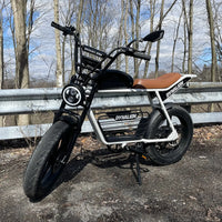 DYNALION K7-2 1000W 20-Inch Fat Tire Mountain E-Bike