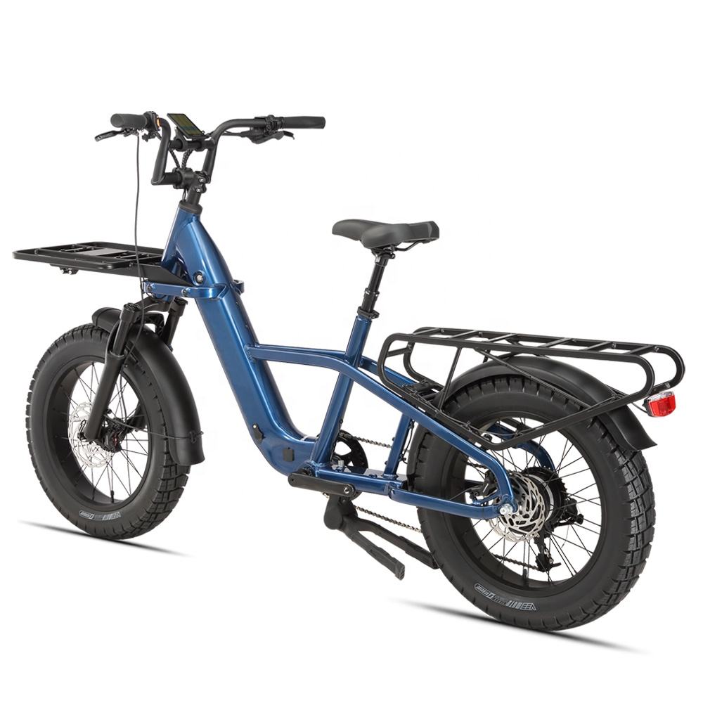 STANDARD 750W 48V Fat Tire Cargo E - Bike - The Wright Bikes