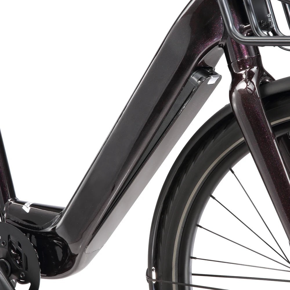 STANDARD 350W 9 - Speed Hybrid City E - Bike - The Wright Bikes