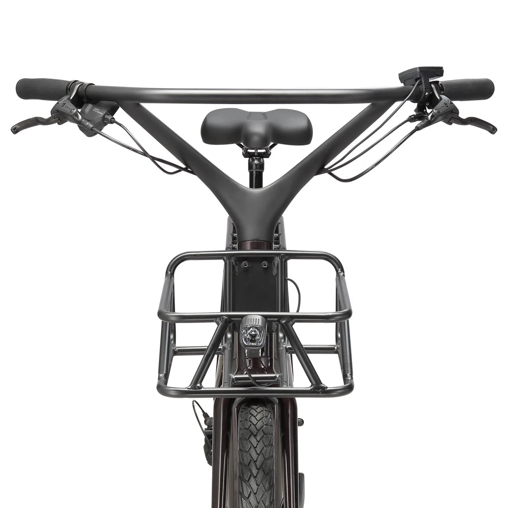 STANDARD 350W 9 - Speed Hybrid City E - Bike - The Wright Bikes