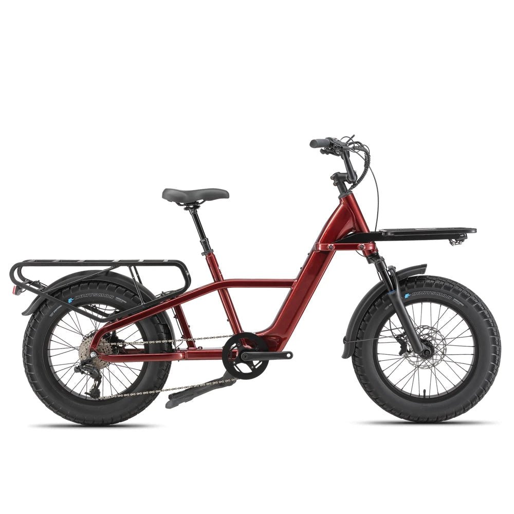 STANDARD 750W 48V Fat Tire Cargo E - Bike - The Wright Bikes