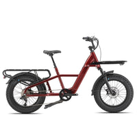 STANDARD 750W 48V Fat Tire Cargo E - Bike - The Wright Bikes