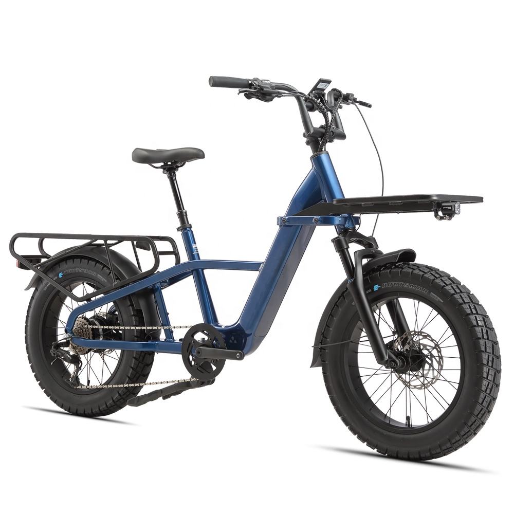 STANDARD 750W 48V Fat Tire Cargo E - Bike - The Wright Bikes