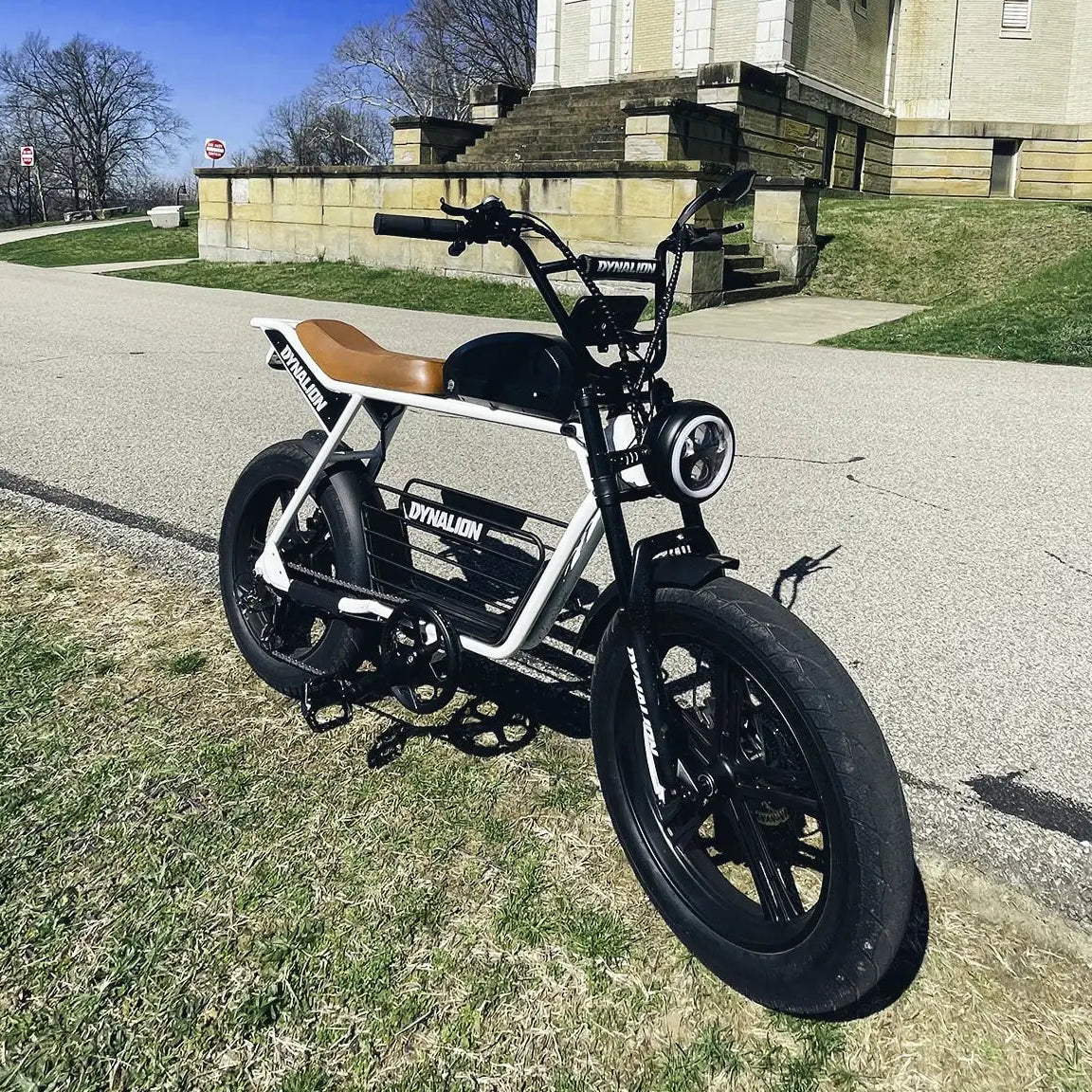 DYNALION K7-2 1000W 20-Inch Fat Tire Mountain E-Bike