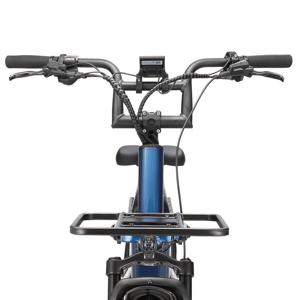 STANDARD 750W 48V Fat Tire Cargo E - Bike - The Wright Bikes