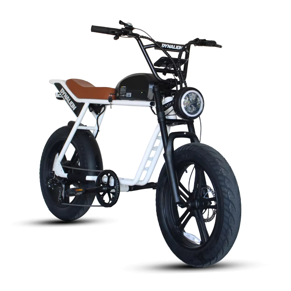 DYNALION K7-2 1000W 20-Inch Fat Tire Mountain E-Bike