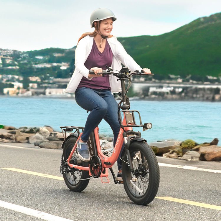 ENGWE L20 750W 20 - Inch Folding City E - Bike - The Wright Bikes