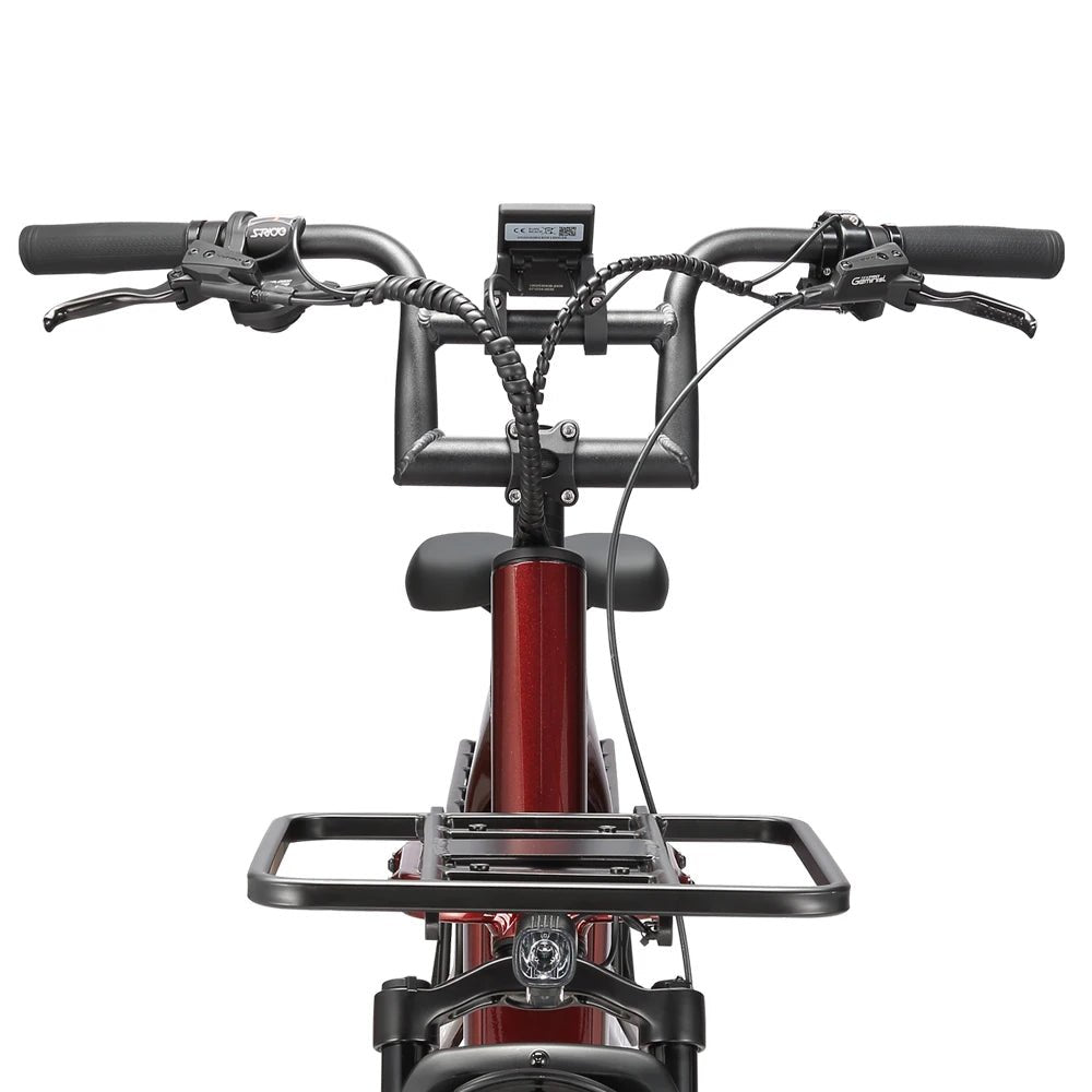 STANDARD 750W 48V Fat Tire Cargo E - Bike - The Wright Bikes