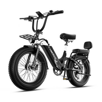 CYBERVELO EK12 750W 20" Fat Tire Cargo E - Bike - The Wright Bikes