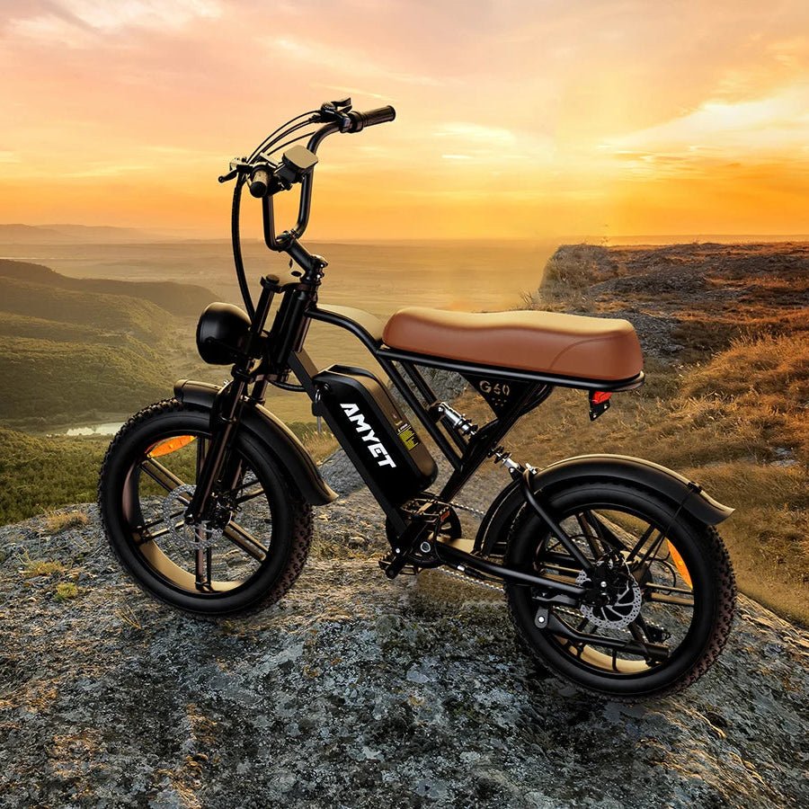 AMYET V9 - G60 1000W 20 - Inch Fat Tire Mountain E - Bike - The Wright Bikes