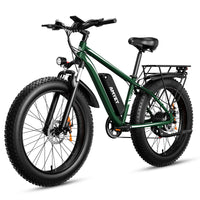 AMYET EB26 1000W 26 - Inch Fat Tire Mountain E - Bike - The Wright Bikes