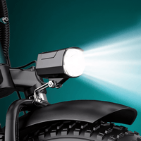 ENGWE L20 750W 20 - Inch Folding City E - Bike - The Wright Bikes