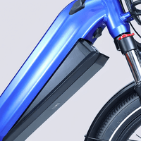 STANDARD 750W 20" Cargo City E - Bike - The Wright Bikes