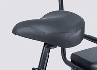 STANDARD 750W 20" Cargo City E - Bike - The Wright Bikes