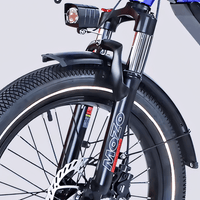 STANDARD 750W 20" Cargo City E - Bike - The Wright Bikes