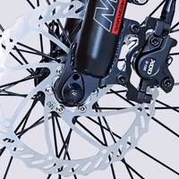 STANDARD 750W 20" Cargo City E - Bike - The Wright Bikes