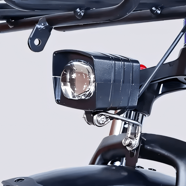 STANDARD 750W 20" Cargo City E - Bike - The Wright Bikes