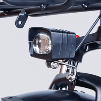 STANDARD 750W 20" Cargo City E - Bike - The Wright Bikes