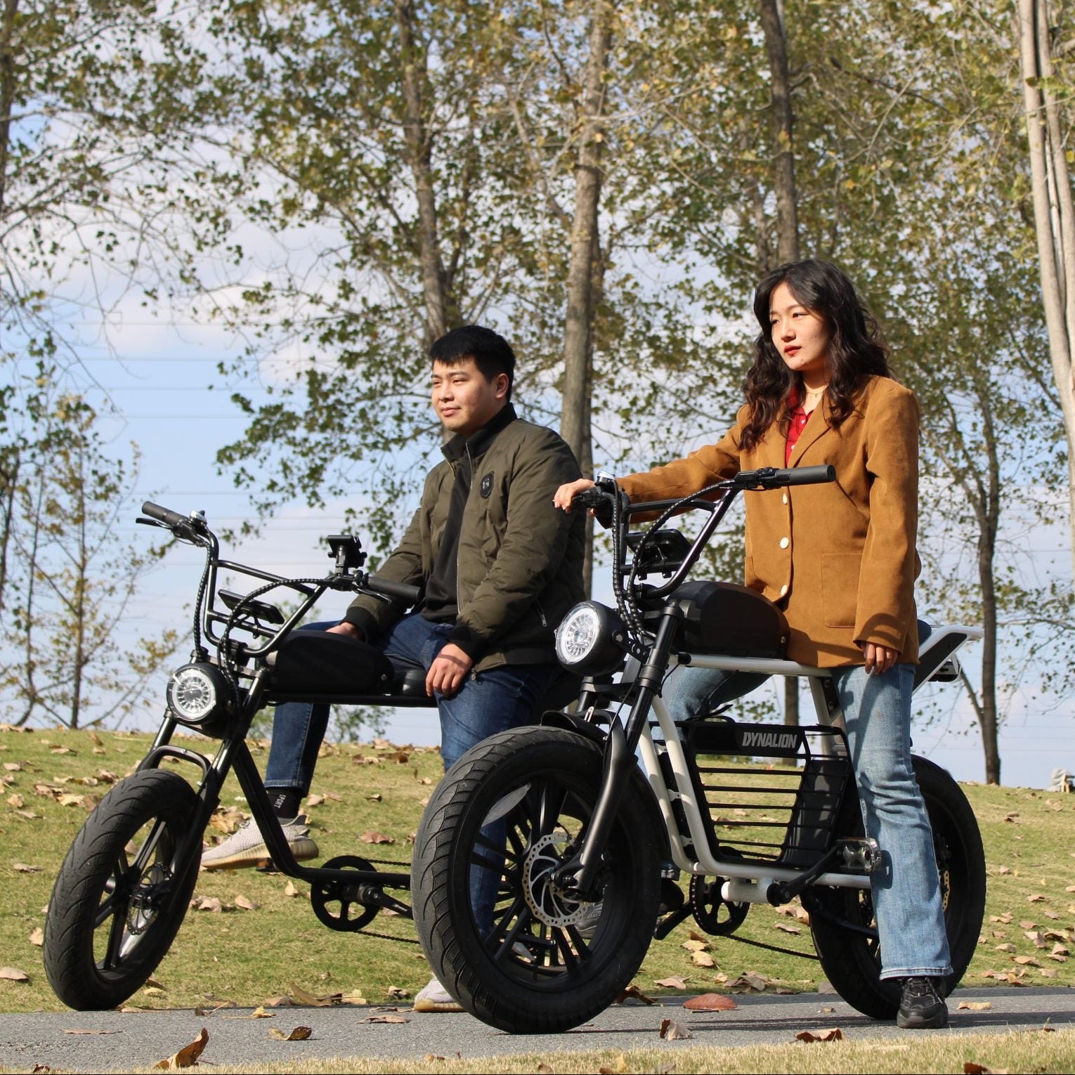 DYNALION K7-2 1000W 20" 7-Speed Electric Mountain Bike image 12