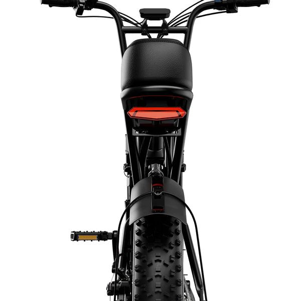 AMYET V9 - G60 1000W 20 - Inch Fat Tire Mountain E - Bike - The Wright Bikes