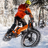 CYBERVELO EK6 2000W 8-Speed Fat Tire Folding E-Bike